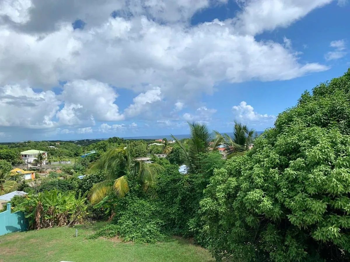 Maison Cosy A Le Gosier Avec Vue Guadeloupe